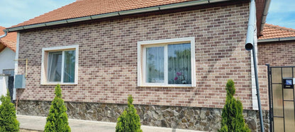 Panou decorativ din polistiren TD 05-339